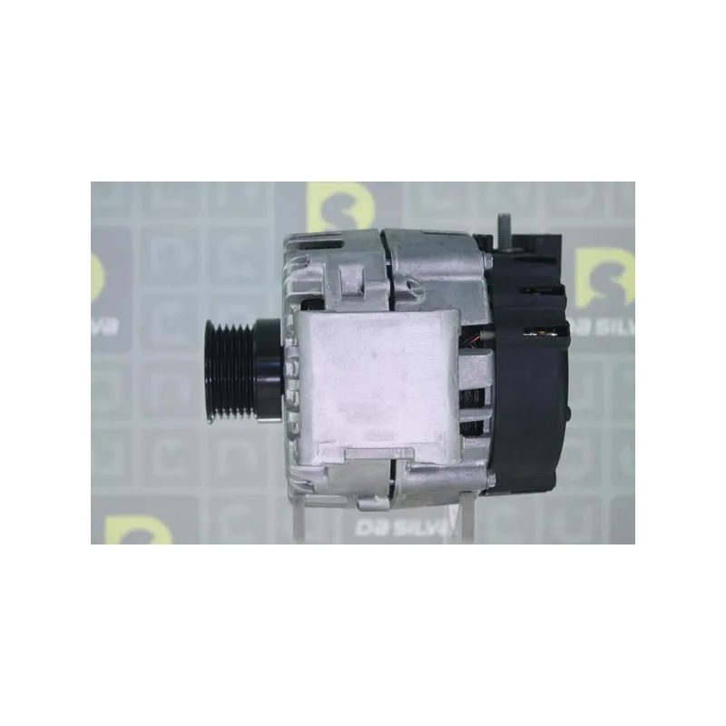Alternateur DA SILVA 011989 - Visuel 1