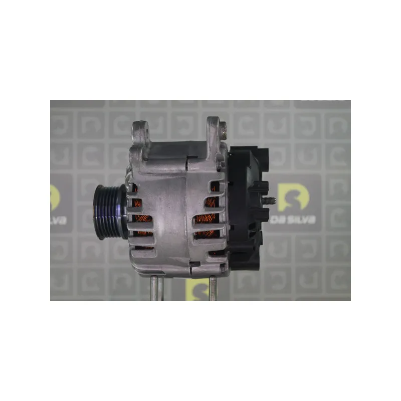 Alternateur DA SILVA 012116 - Visuel 2