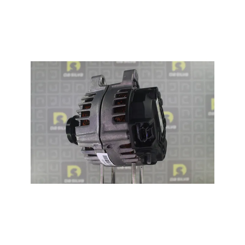 Alternateur DA SILVA 012122 - Visuel 2