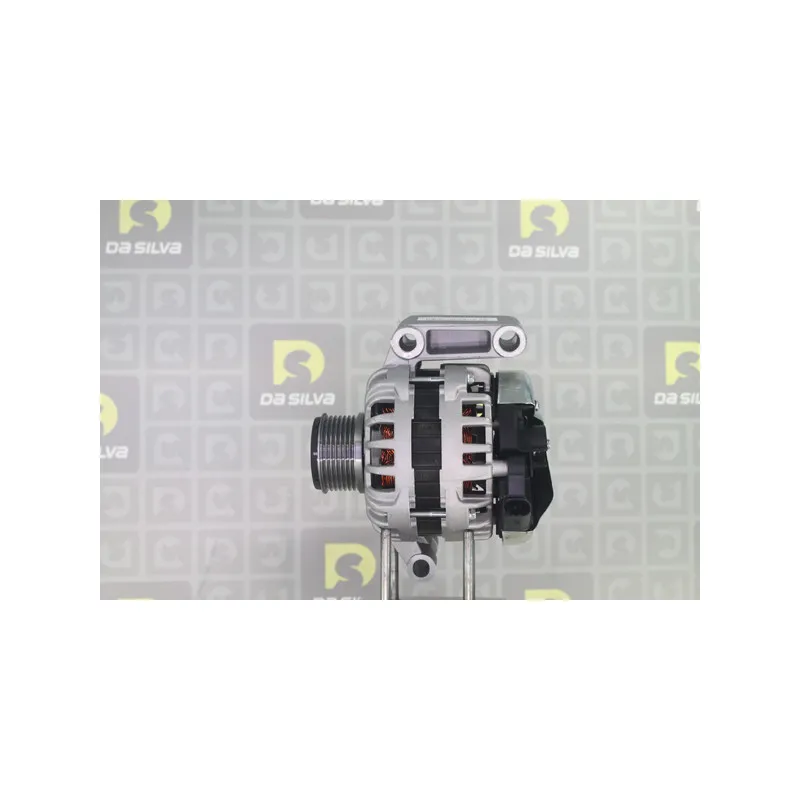 Alternateur DA SILVA 012321 - Visuel 2