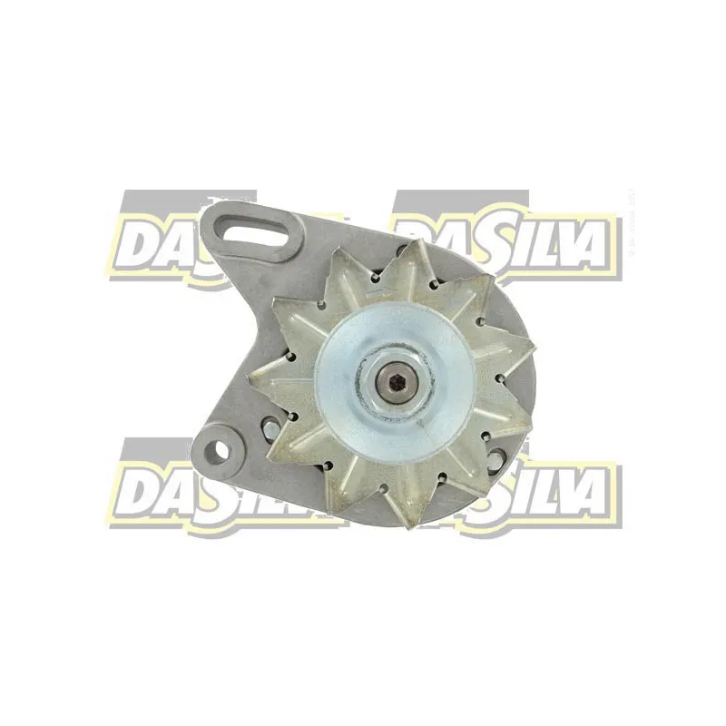 Alternateur DA SILVA 01387 - Visuel 1