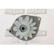 DA SILVA 016246 - Alternateur