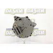 DA SILVA 016298 - Alternateur
