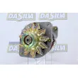 Alternateur DA SILVA [016301]