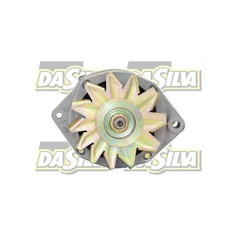 Alternateur DA SILVA 016454 - Visuel 1