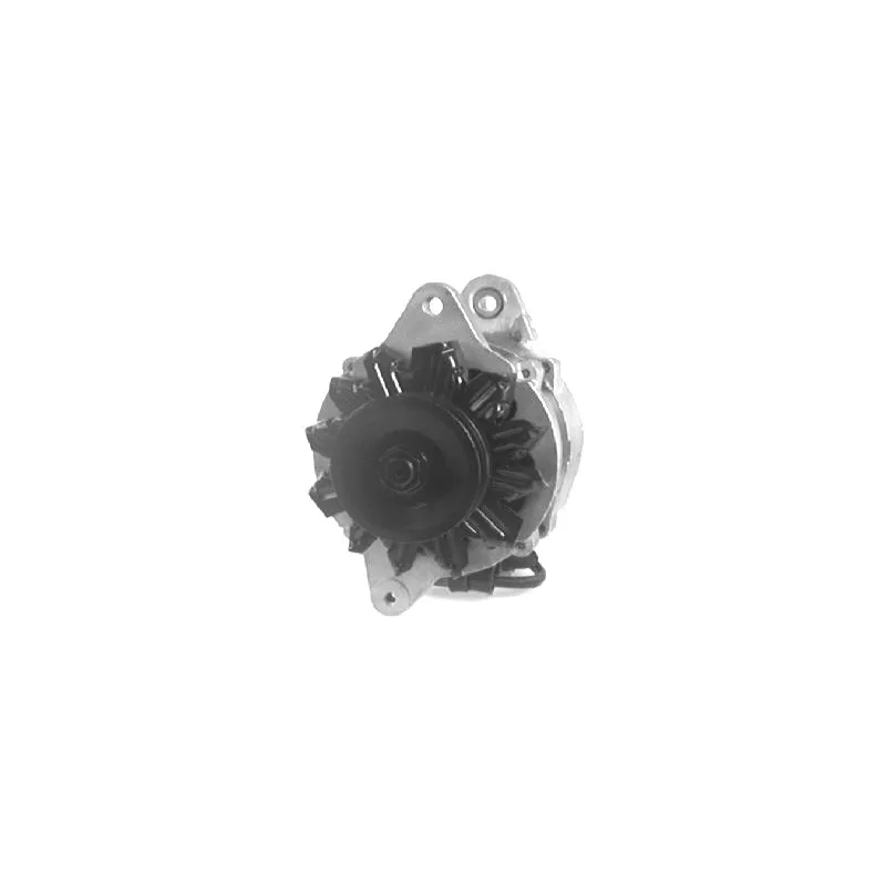 Alternateur DA SILVA 030101 - Visuel 1