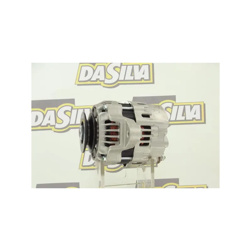 Alternateur DA SILVA 030121 - Visuel 1