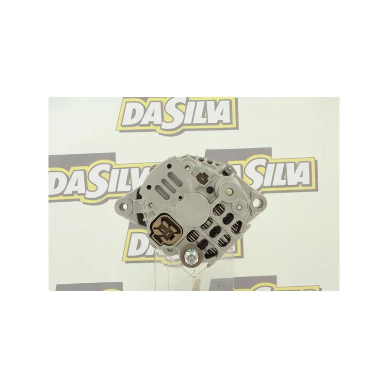 Alternateur DA SILVA 030121 - Visuel 2