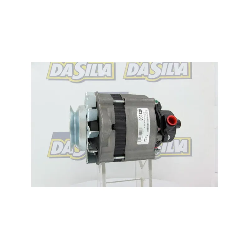 Alternateur DA SILVA 030129 - Visuel 1