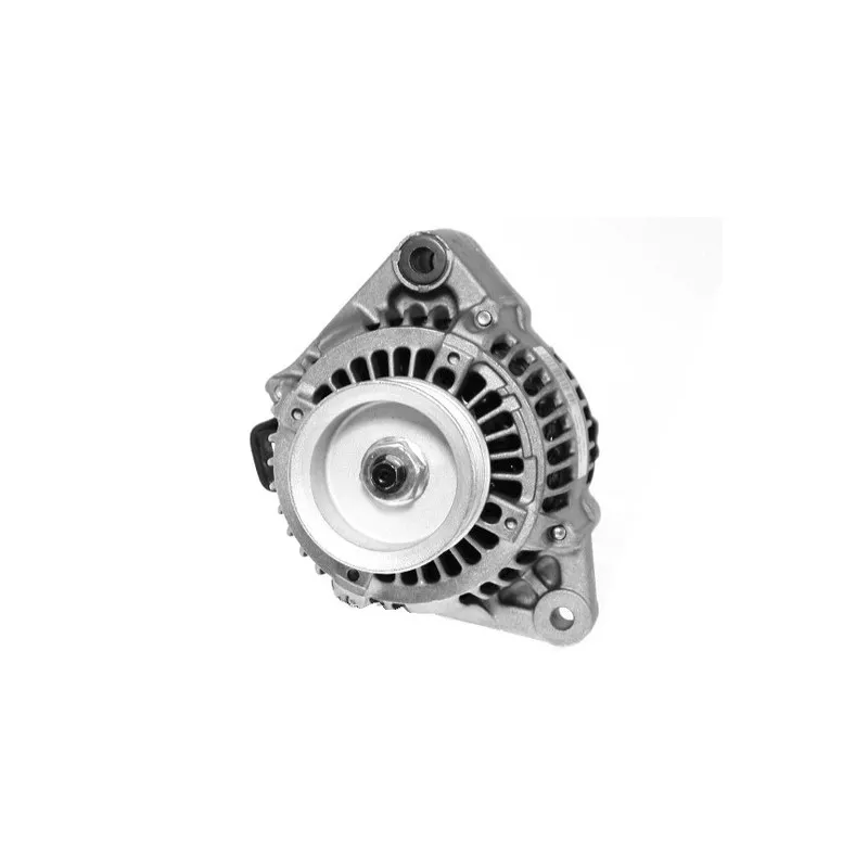 Alternateur DA SILVA 030208 - Visuel 1