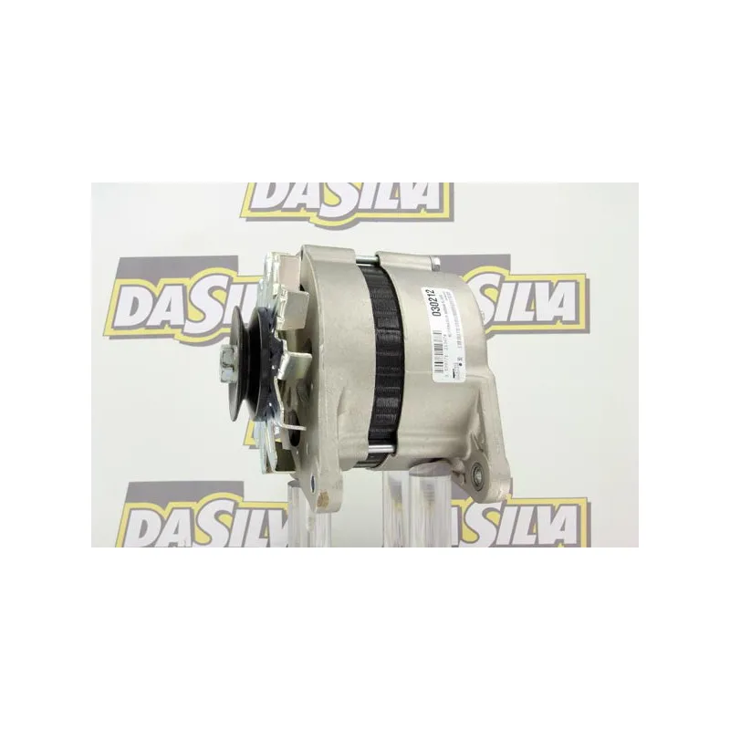 Alternateur DA SILVA 030212 - Visuel 1