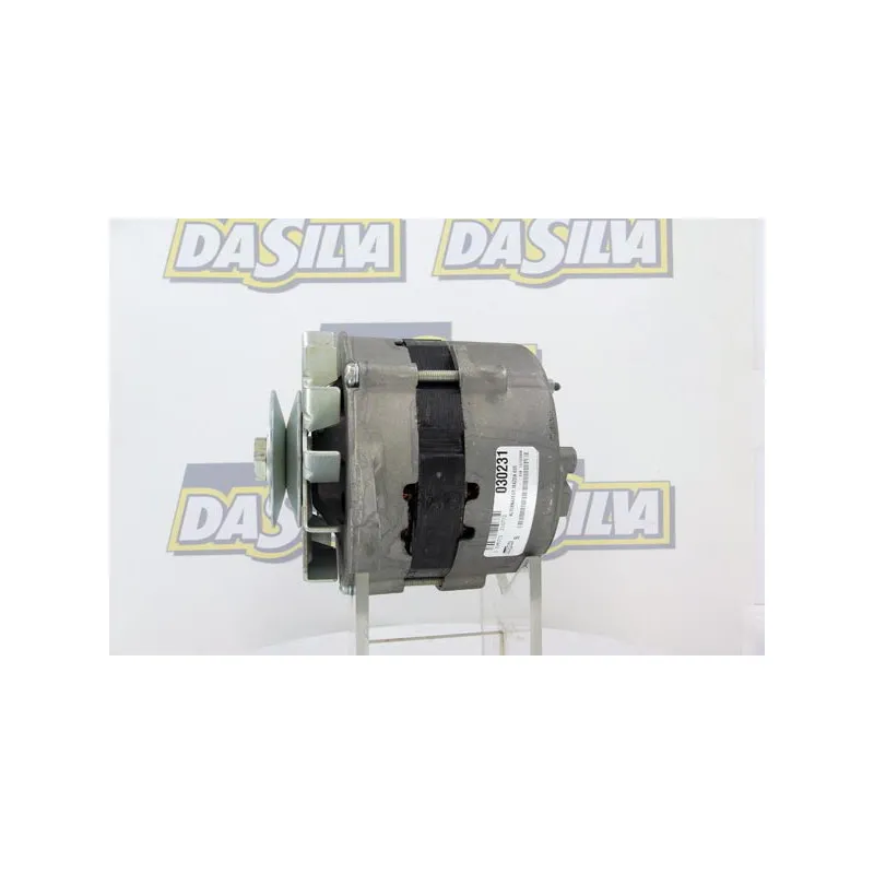 Alternateur DA SILVA 030231 - Visuel 1