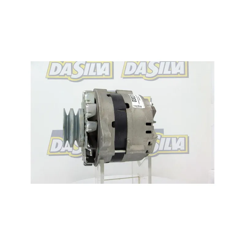 Alternateur DA SILVA 030278 - Visuel 1