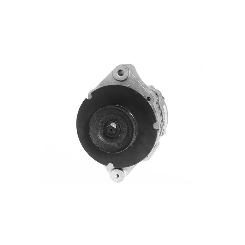 Alternateur DA SILVA 030313 - Visuel 1