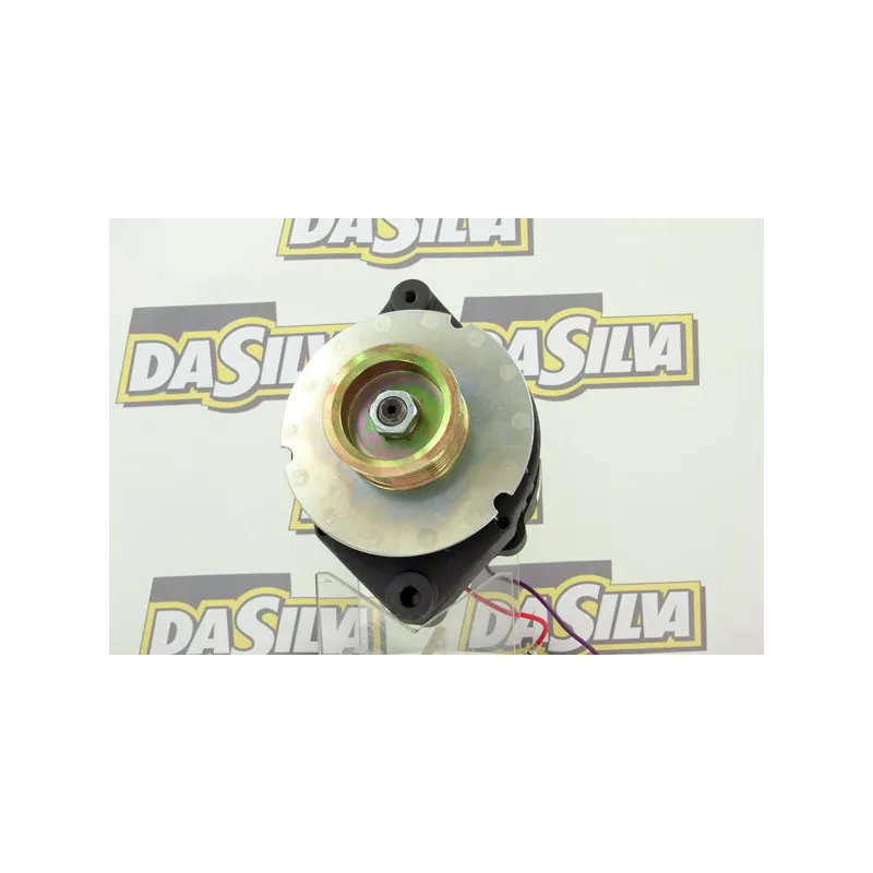 Alternateur DA SILVA 030316 - Visuel 1