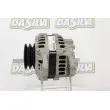 DA SILVA 030325 - Alternateur