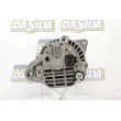 DA SILVA 030325 - Alternateur