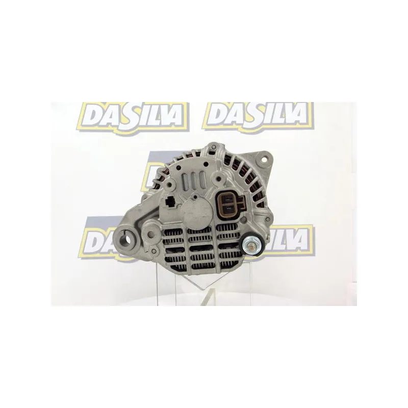 Alternateur DA SILVA 030325 - Visuel 2