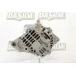 DA SILVA 030328 - Alternateur