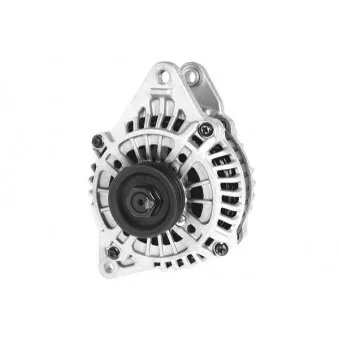 Alternateur DA SILVA OEM MD317514