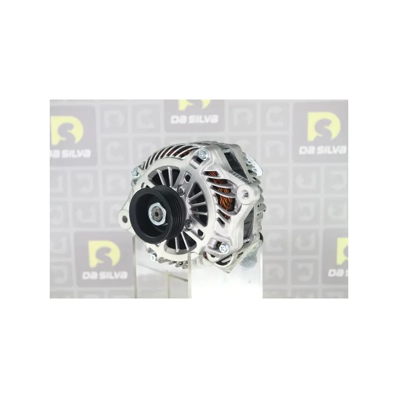 Alternateur DA SILVA 030417 - Visuel 1