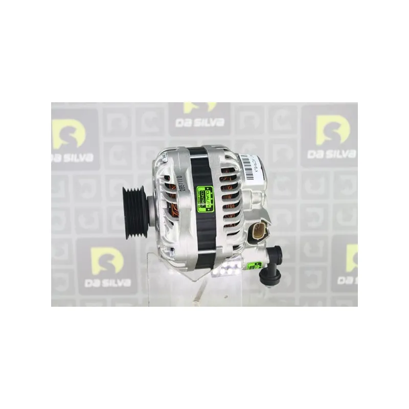 Alternateur DA SILVA 030417 - Visuel 2
