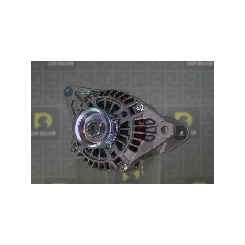Alternateur DA SILVA 030421 - Visuel 1