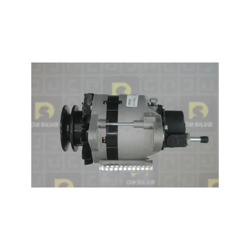 Alternateur DA SILVA 030430 - Visuel 1