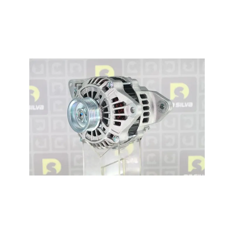 Alternateur DA SILVA 030541 - Visuel 1
