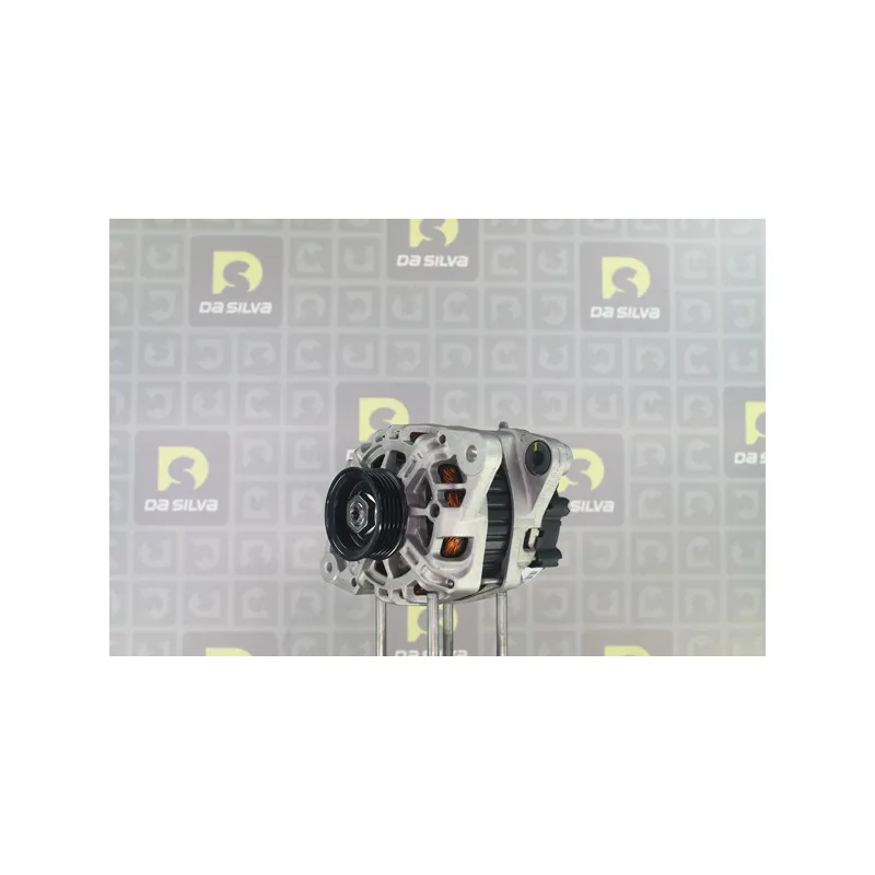 Alternateur DA SILVA 030596 - Visuel 1