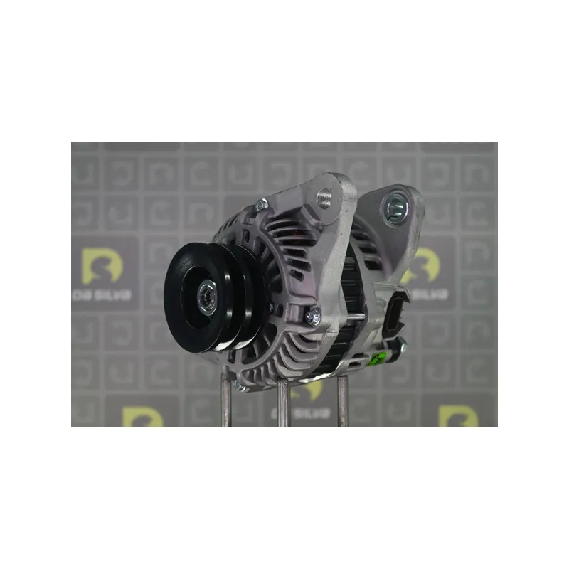 Alternateur DA SILVA 030633 - Visuel 1