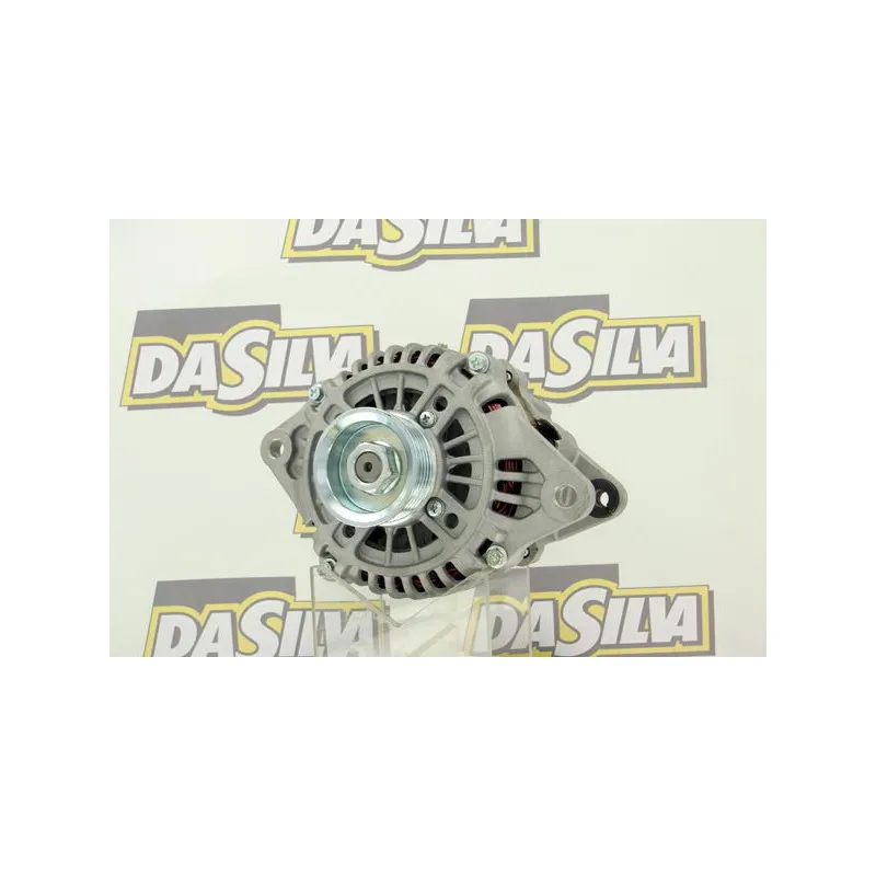 Alternateur DA SILVA 030714 - Visuel 1
