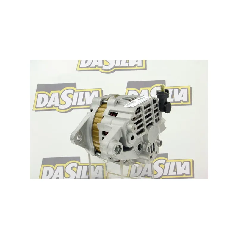 Alternateur DA SILVA 030714 - Visuel 2