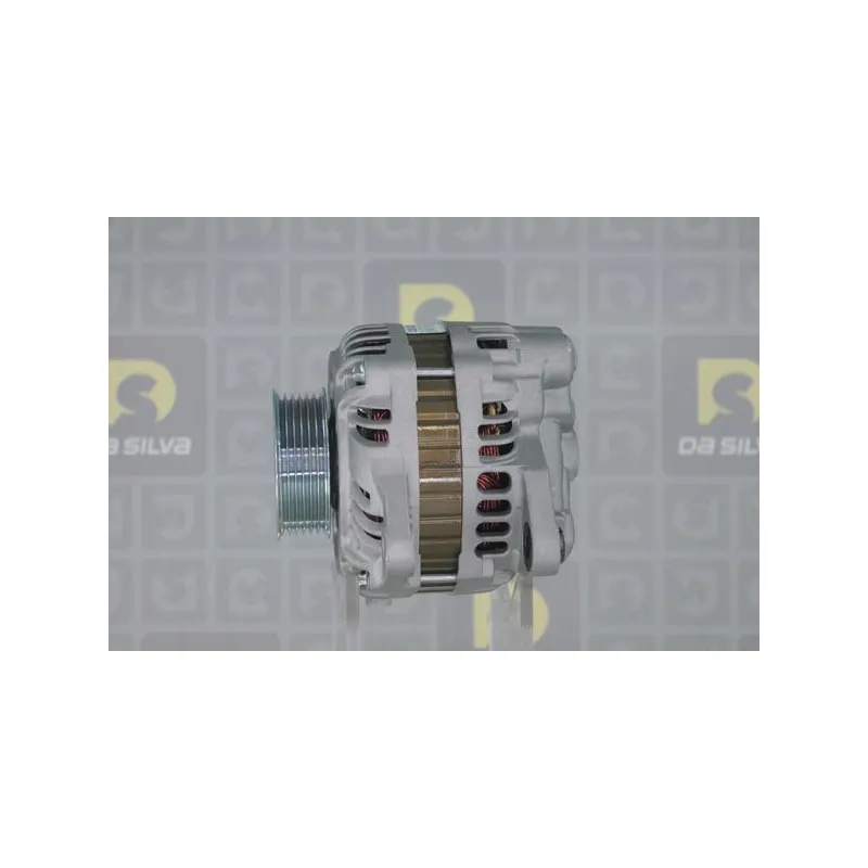 Alternateur DA SILVA 030822 - Visuel 1