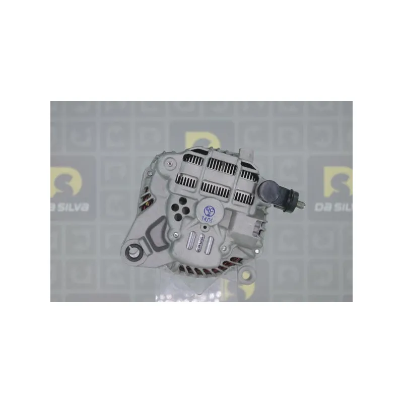 Alternateur DA SILVA 030822 - Visuel 2