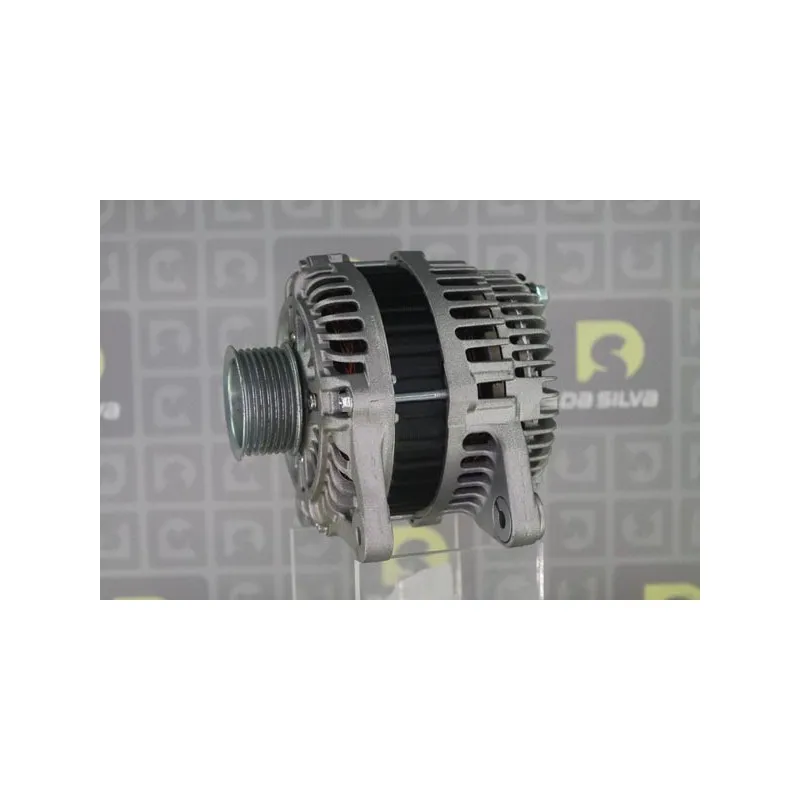 Alternateur DA SILVA 030839 - Visuel 2