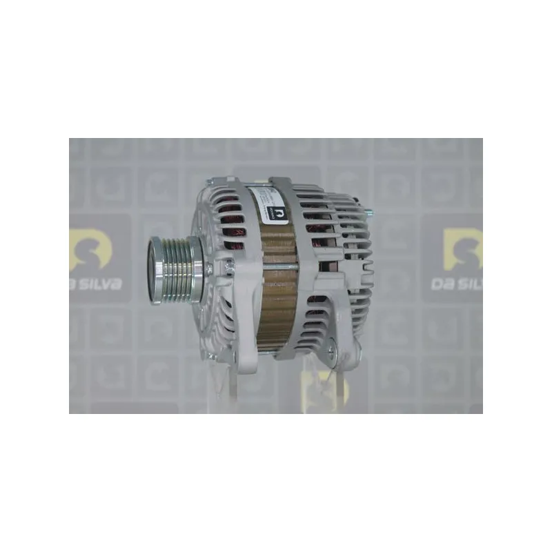 Alternateur DA SILVA 030840 - Visuel 1