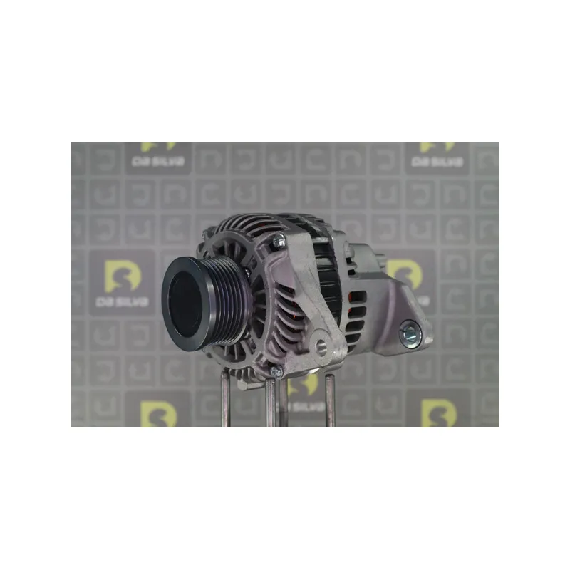Alternateur DA SILVA 030846 - Visuel 1