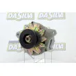 Alternateur DA SILVA [030902]