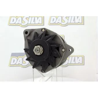 Alternateur DA SILVA [050096]