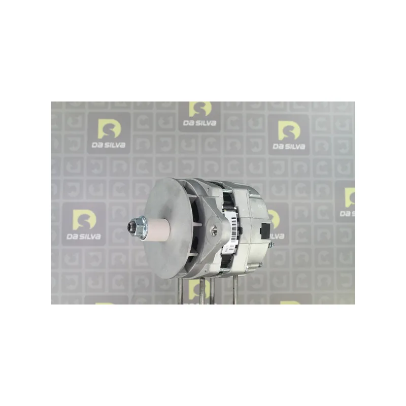 Alternateur DA SILVA 050108 - Visuel 1
