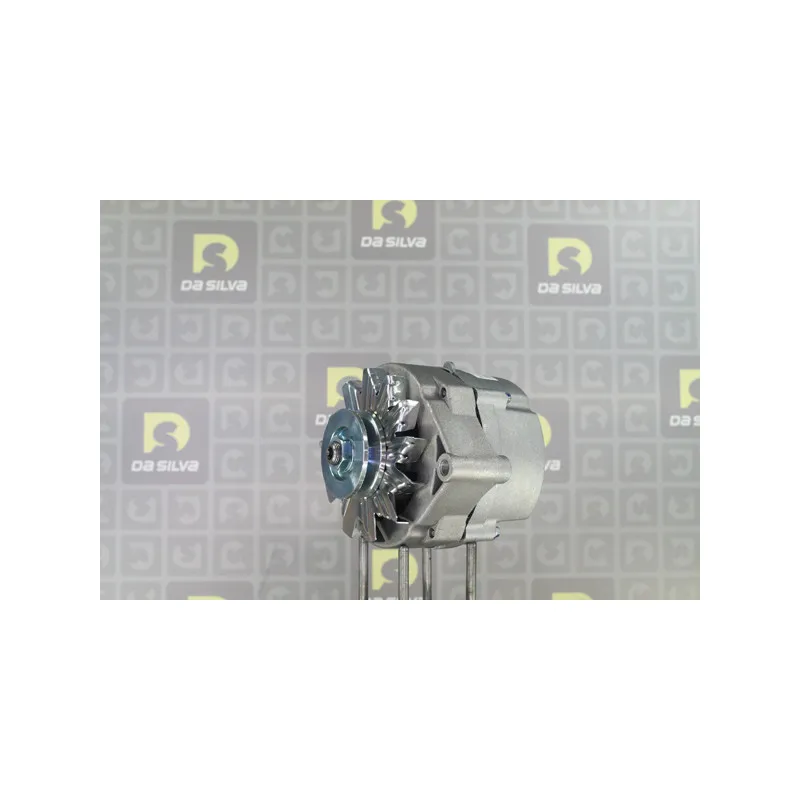 Alternateur DA SILVA 051027 - Visuel 1
