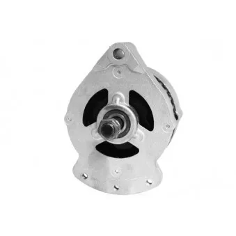 DA SILVA 051029 - Alternateur