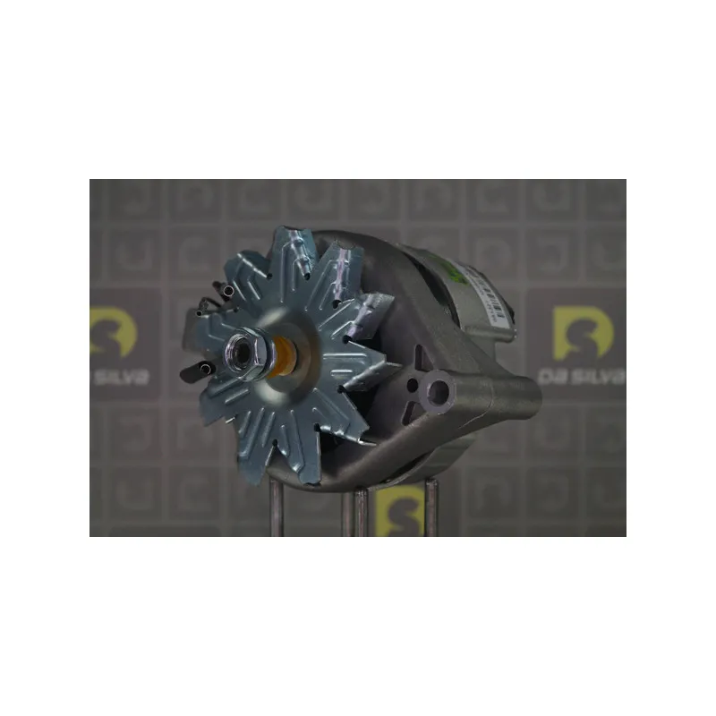 Alternateur DA SILVA 051321 - Visuel 1