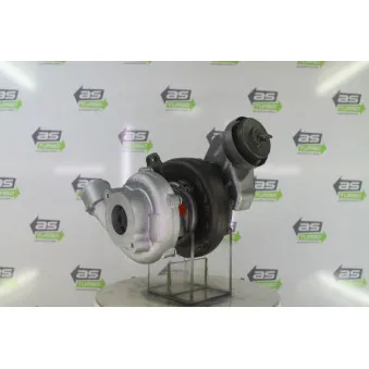 Turbocompresseur, suralimentation DA SILVA OEM 172010R021