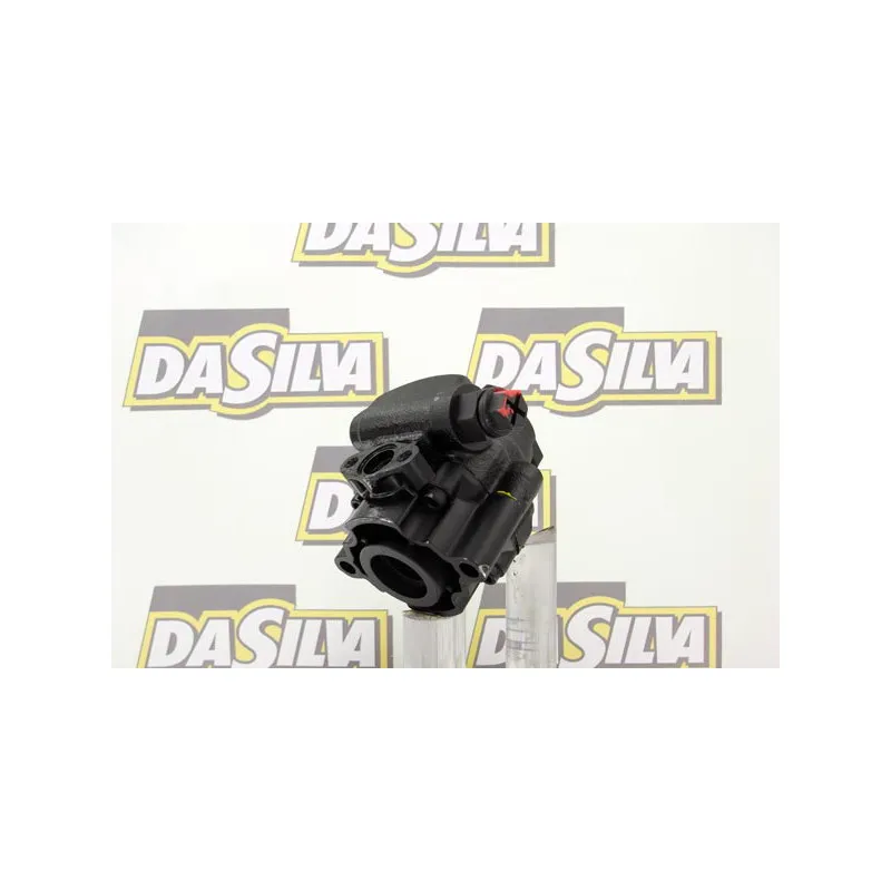 Pompe hydraulique, direction DA SILVA DP2012 - Visuel 2