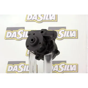 Pompe hydraulique, direction DA SILVA DP2040