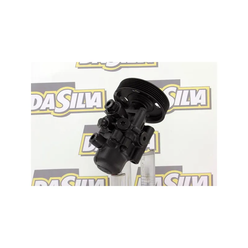 Pompe hydraulique, direction DA SILVA DP2243 - Visuel 2