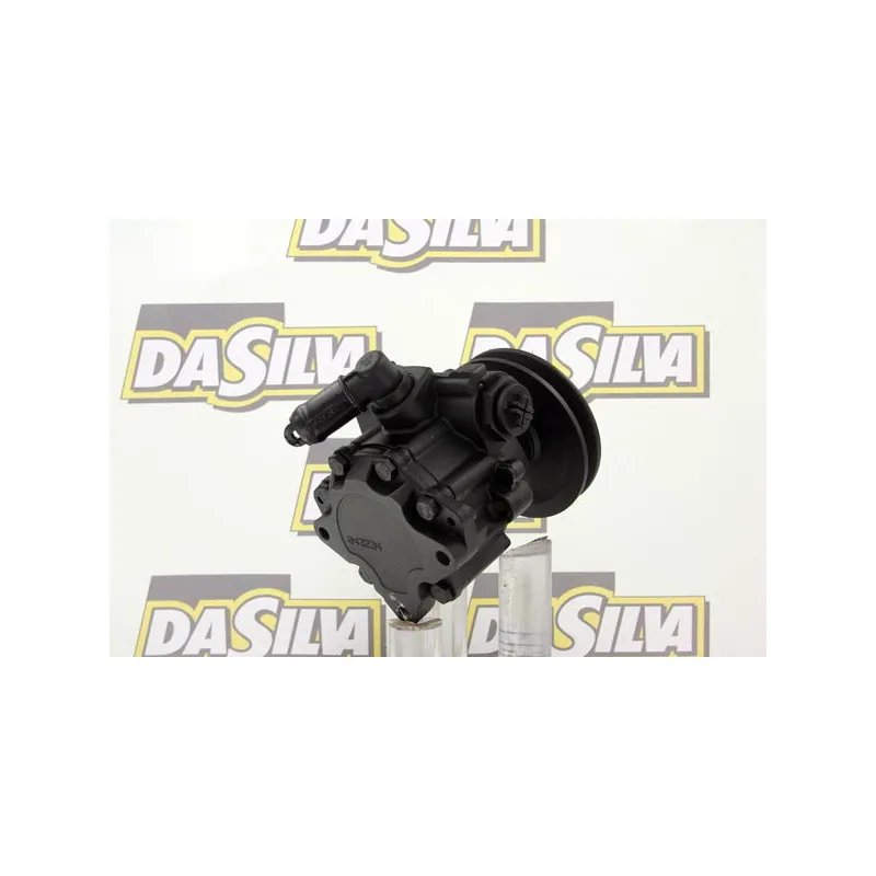 Pompe hydraulique, direction DA SILVA DP2343 - Visuel 2