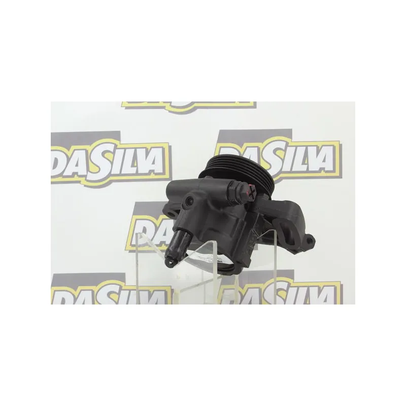 Pompe hydraulique, direction DA SILVA DP2384 - Visuel 2